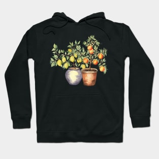 Lemon and Orange Trees in Pots Hoodie